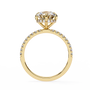 Gold ring with a large diamond and smaller diamonds on the band against a white background